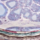 Image for article titled Your Holiday Dinner Guests Will Love Dining Off These Testicle Plates
